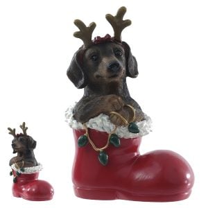 Cachorro Salsicha Na Botinha De Natal